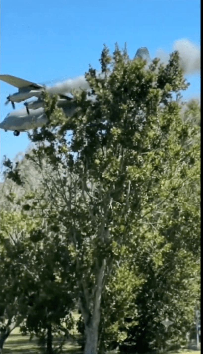 The aircraft disappears beyond the trees after the apparent encounter.